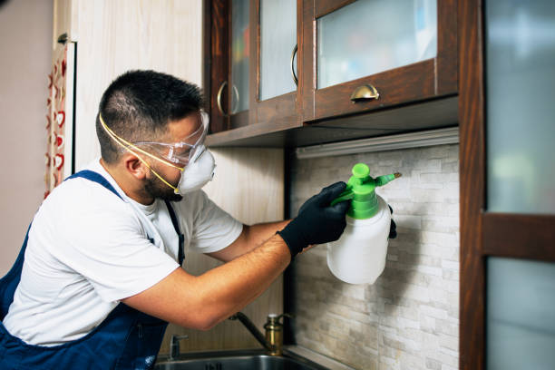 Best Bed Bug Extermination  in Jourdanton, TX