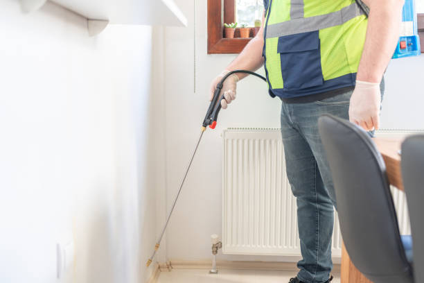 Best Pest Control for Homes  in Jourdanton, TX