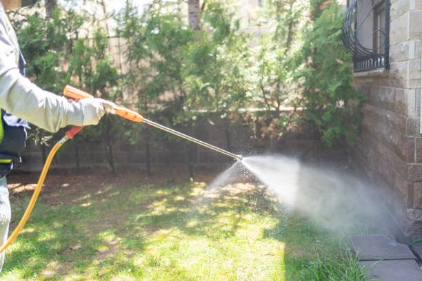 Best Pest Control Treatment  in Jourdanton, TX