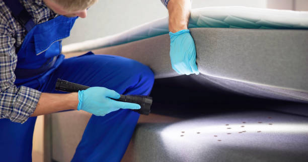Best Pest Control Treatment  in Jourdanton, TX
