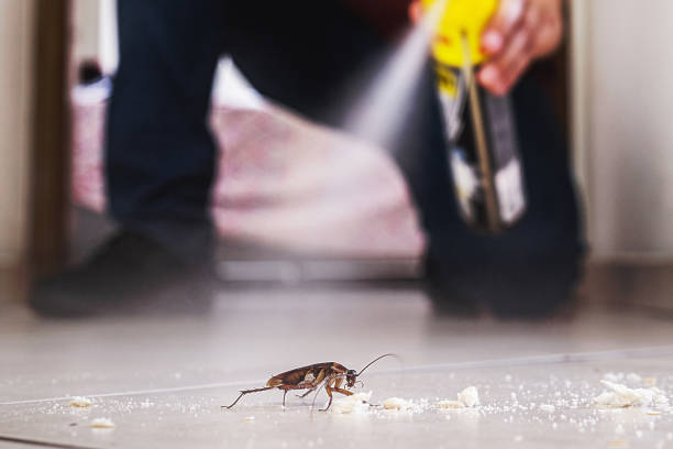 Best Commercial Pest Control Services  in Jourdanton, TX